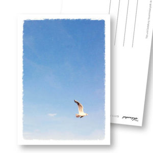 Fliegen maritime Postkarte Trauerkarte Frau Schnobel Grafik Hochkantkarten